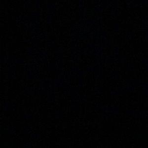 Meet your Posher, Joy